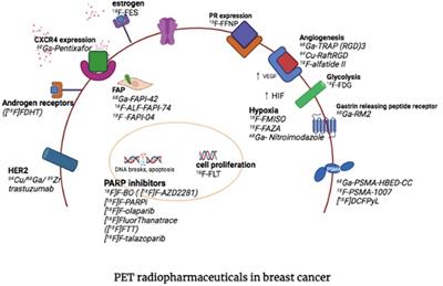 Theranostics in breast cancer